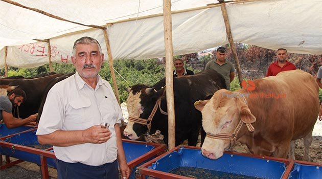 Manavgat’ta Kurban Pazarı açıldı