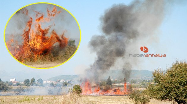 Manavgat'ta arazi yangını
