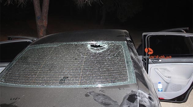 Manavgat'ta çamlık gaspçıları yakalandı