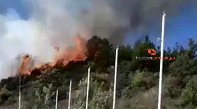 Manavgat'ta iki orman yangını birden