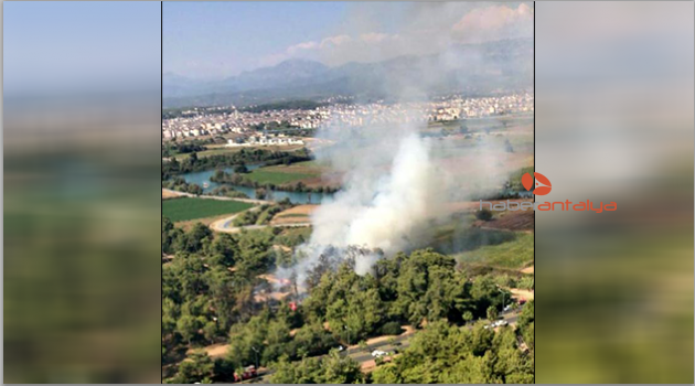 Manavgat'ta orman yangını