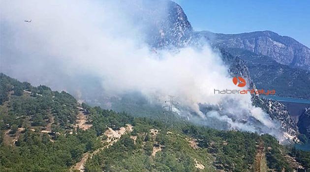Manavgat'ta orman yangını