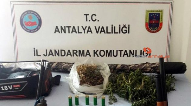 Manavgat'ta uyuşturucu operasyonu: Av tüfekleri ele geçirildi