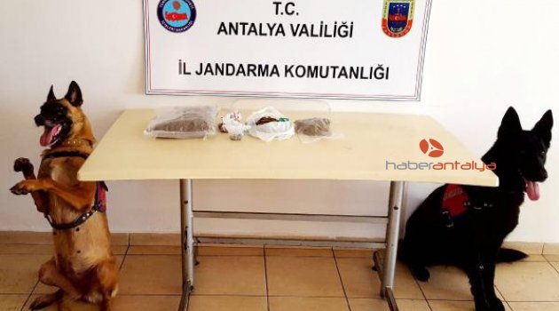 Manavgat'ta uyuşturucu operasyonu