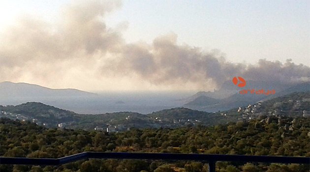 Meis Adası'nda büyük yangın
