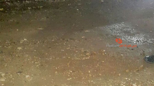 Minik Elif Nur, babasının geri manevra yaptığı aracın altında kalarak yaşamını yitirdi