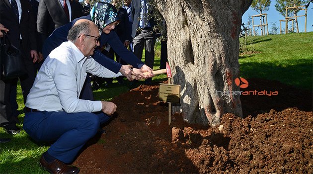 MÜEZZİNOĞLU: 335 BİN EVE ÇATKAPI ZİYARET