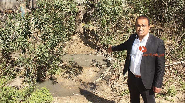 Muhtarın domuz çiftliği isyanı