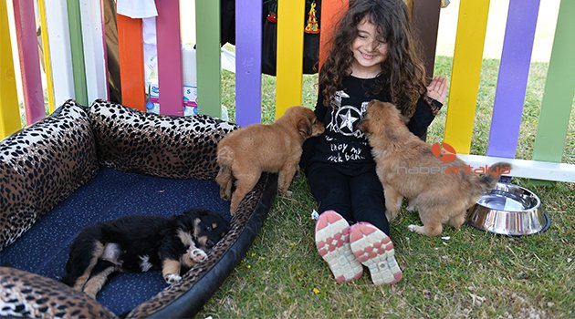 MURATPAŞA'DA ÇOK ÖZEL FESTİVAL