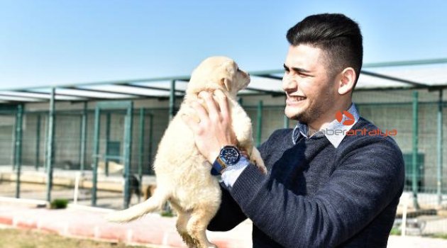Muratpaşa'yla yeni yuvalarına kavuştular