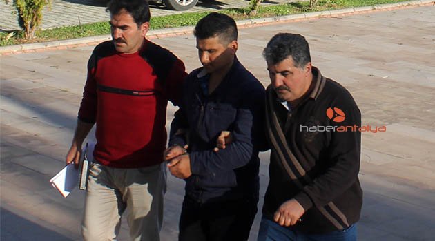 Muz üreticisi FETÖ'den tutuklandı