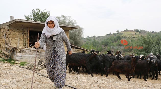 Nazife ninenin 40 yıllık su çilesi 3 günde bitti