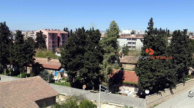 NUSAYBİN'DE HAİN SALDIRI: 1 ŞEHİT 3 YARALI