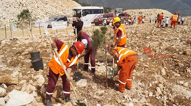 Ocak sahasına fidan dikildi