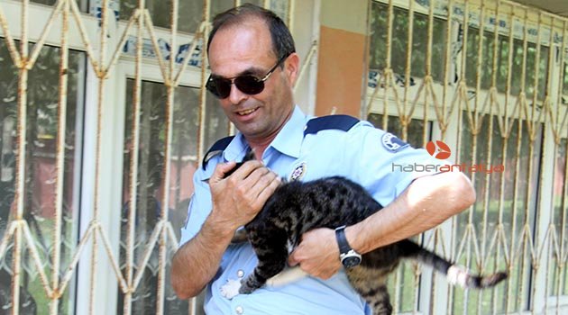 Okulda mahsur kalan kediyi polis kurtardı