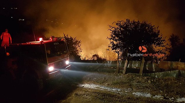 Orman yangını büyümeden söndürüldü