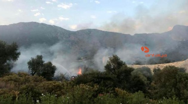 Orman yangını korkuttu