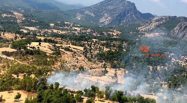 ORMAN YANGINI’NA ERKEN MÜDAHALE SONUÇ VERDİ