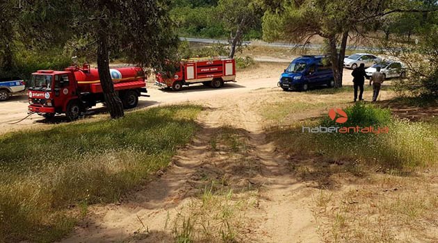 Orman yangını ucuz atlatıldı