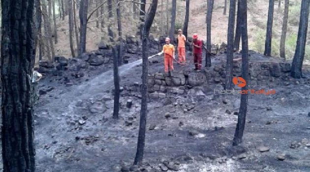 Ormanda örtü yangını büyümeden önlendi