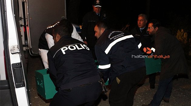 Ormanlık alanda ağaca asılı ceset bulundu