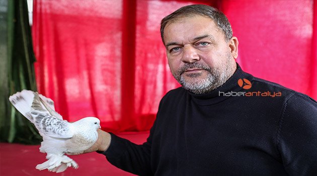 Otomobil fiyatına Şebap güvercini