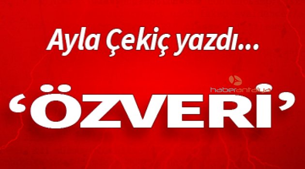 ÖZVERİ
