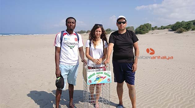 Patara Plajı'nda 201 caretta yuvası korumaya alındı