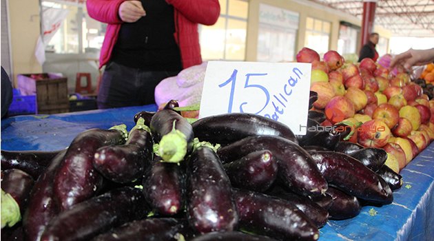 Patlıcan, üretim merkezi Antalya'da 15 TL