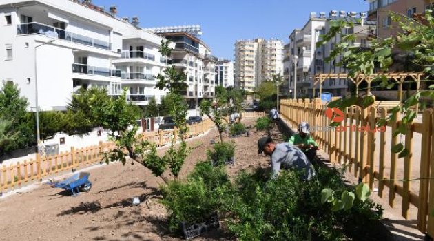 Pınarbaşı Mahallesine modern park