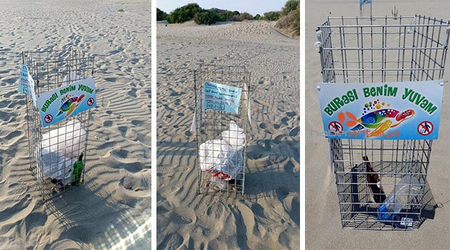 Profesörden caretta caretta yuvalarına çöp atılıp, külot asılmasına tepki