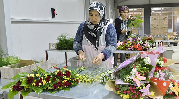 Rusya gümrüğünde karanfil krizi