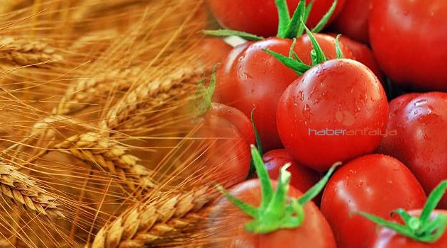 RUSYA'DAN TÜRKİYE'YE REST
