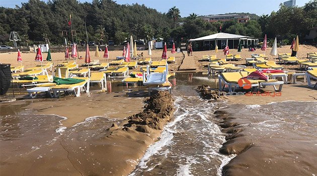 Sabah plaja gelen işletmeci gözlerine inanamadı