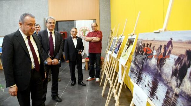 Sağlık çalışanları sergi açtı