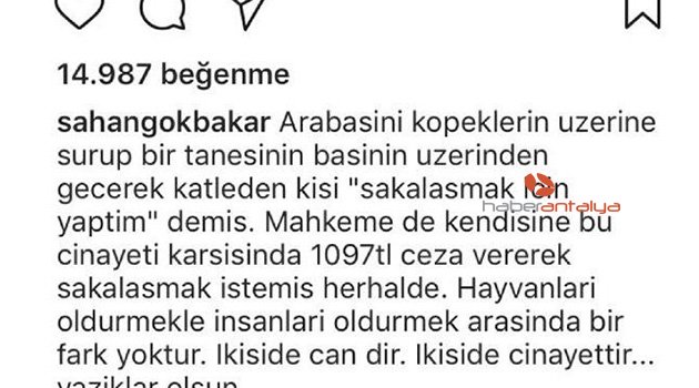 Şahan Gökbakar: Hayvanları öldürmek cinayettir