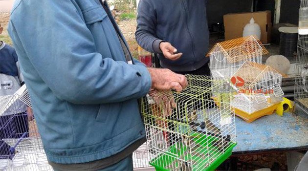 Saka kuşlarını satmak isteyenlere 11 bin TL ceza
