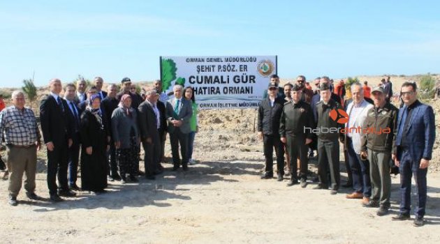 Şehit Gür için hatıra ormanı