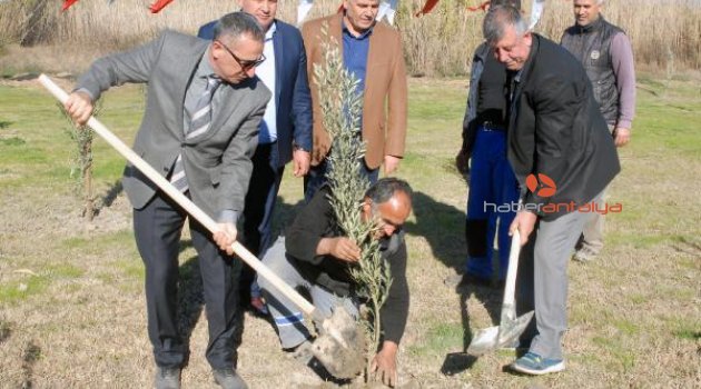 Şehitler için 72 fidan dikildi