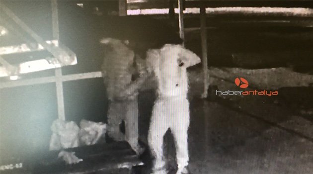 Şemsiye altına gizlenerek hırsızlık yaptılar