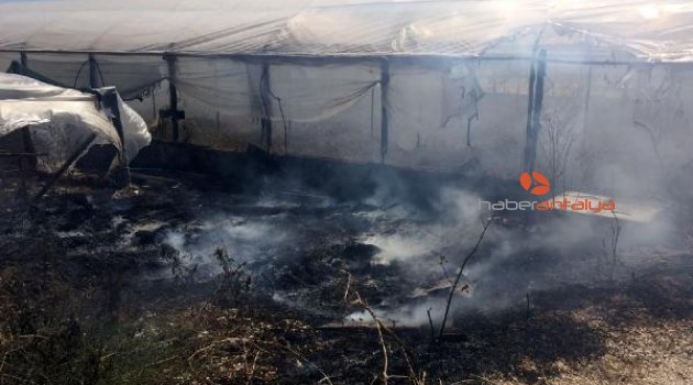 Sera yangında kül oldu