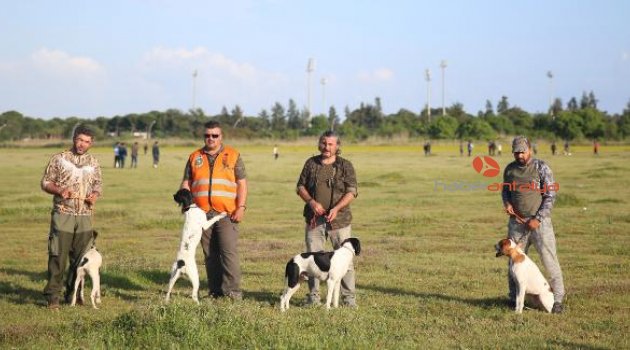 Serik'te av köpekleri yarıştı