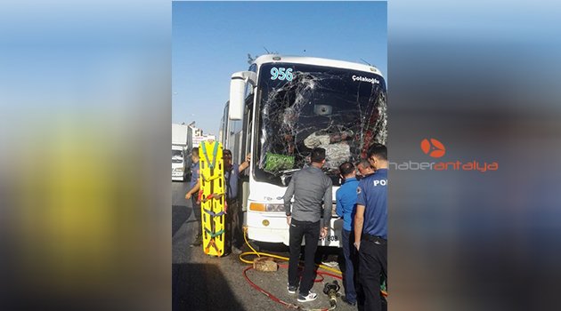 Serik'te kaza: 1 yaralı