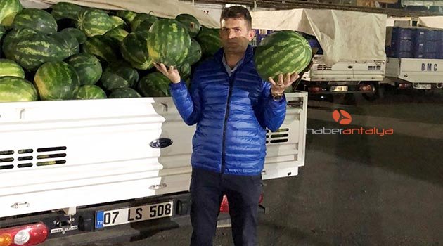 Serik'te mevsimin ilk karpuzu