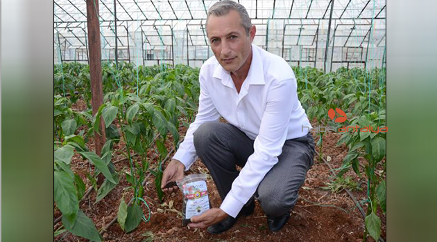 Serik'te solucan gübresi uygulaması