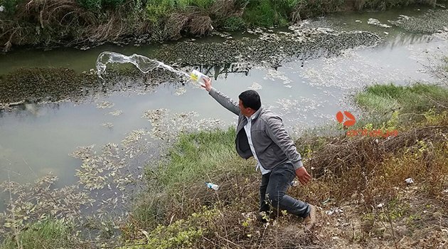 SİVRİSİNEKLE MÜCADELEDE EN ETKİN YÖNTEM
