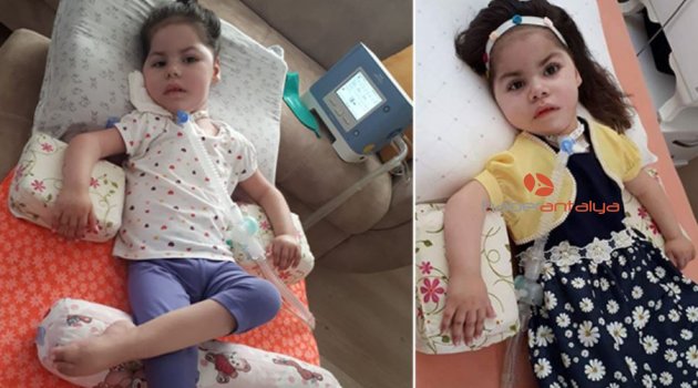 SMA hastası Arife’nin annesi yardım kampanyasına destek istiyor