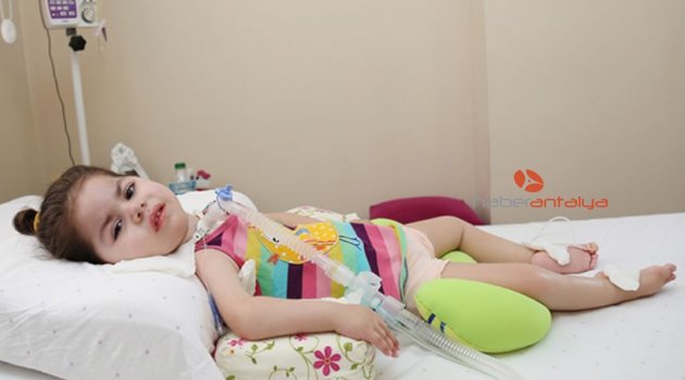 SMA hastası minik Arife için kampanya