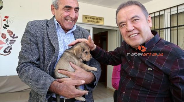 Sokak hayvanları yuvaya kavuştu