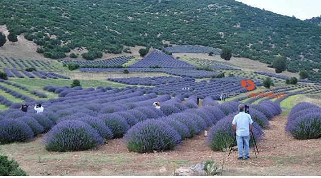 Sosyal medya fenomenleri tanıtım gezisinde